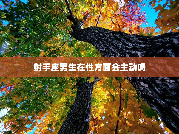 射手座男生在性方面會主動嗎