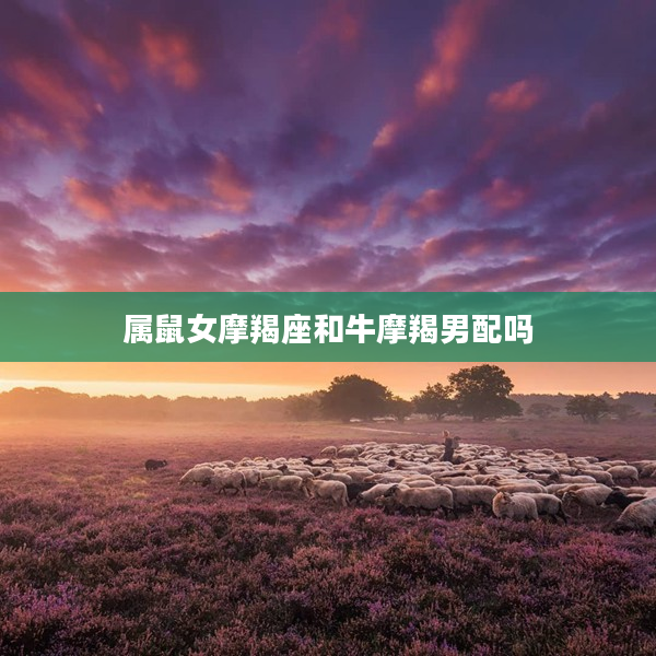 屬鼠女摩羯座和牛摩羯男配嗎