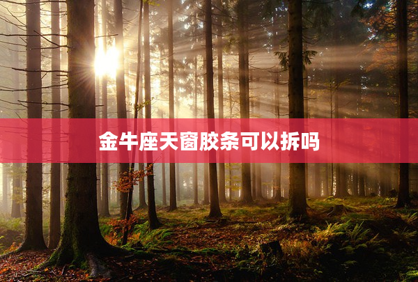 金牛座天窗膠條可以拆嗎