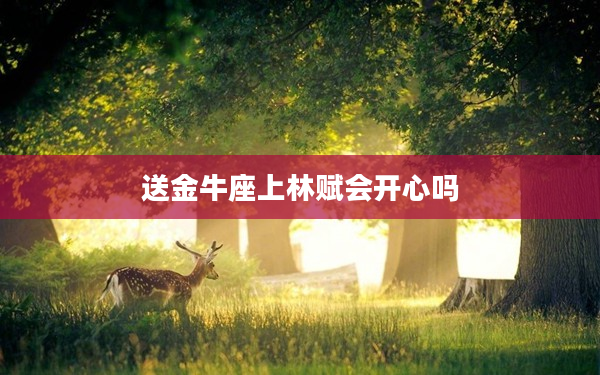 送金牛座上林賦會(huì)開心嗎