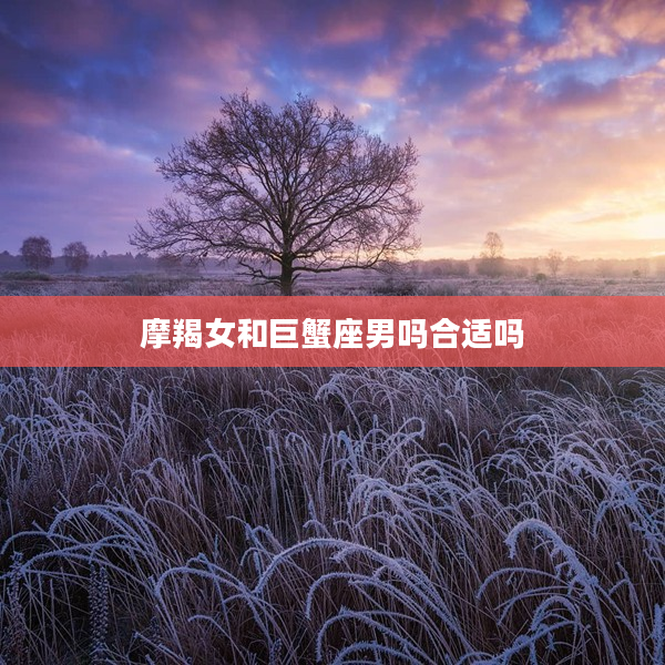 摩羯女和巨蟹座男嗎合適嗎