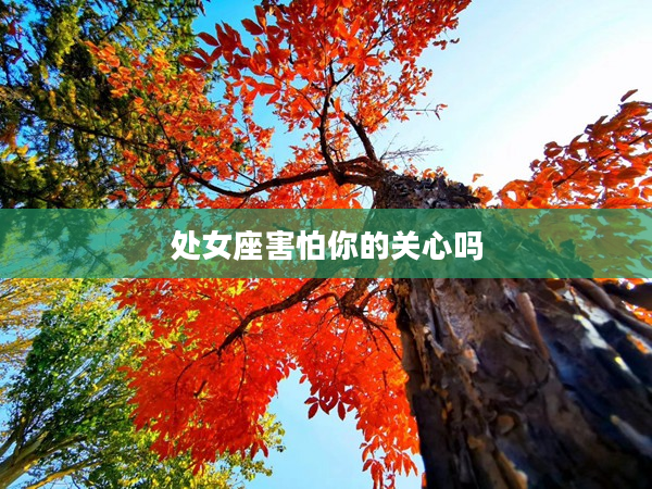 處女座害怕你的關心嗎