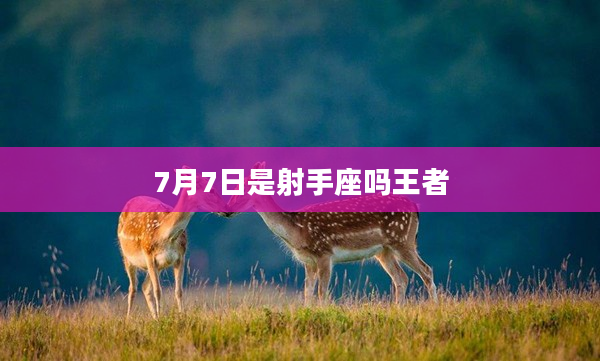 7月7日是射手座嗎王者