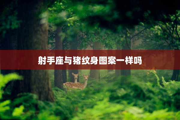 射手座與豬紋身圖案一樣嗎