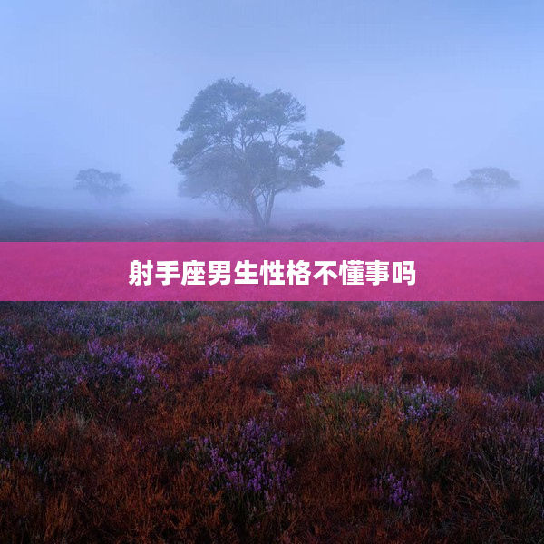 射手座男生性格不懂事嗎