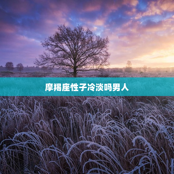 摩羯座性子冷淡嗎男人