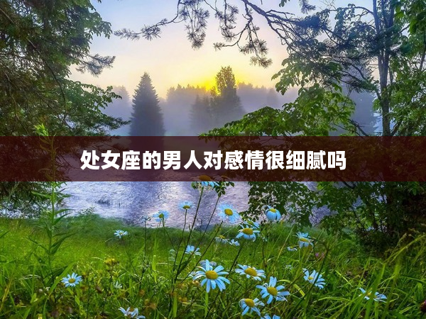 處女座的男人對感情很細膩嗎