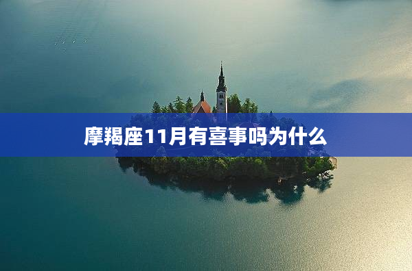 摩羯座11月有喜事嗎為什么