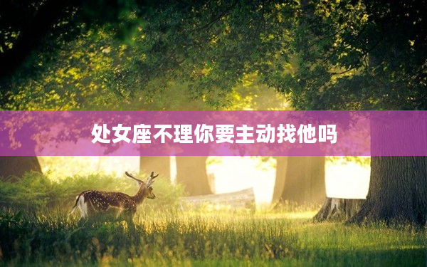 處女座不理你要主動找他嗎