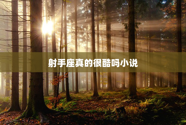 射手座真的很酷嗎小說