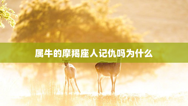 屬牛的摩羯座人記仇嗎為什么