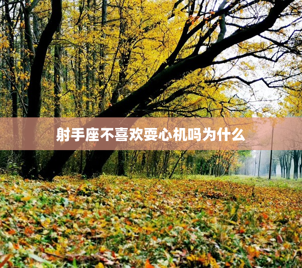 射手座不喜歡耍心機嗎為什么