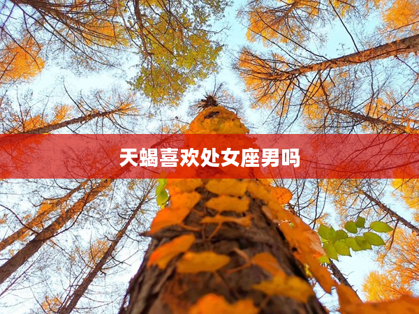 天蝎喜歡處女座男嗎