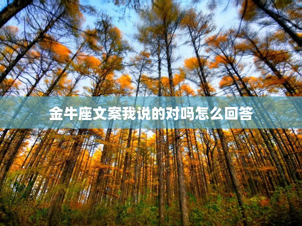 金牛座文案我說的對嗎怎么回答