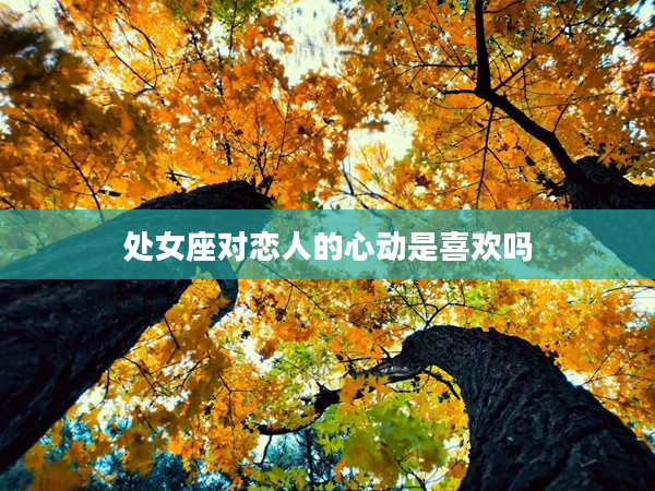 處女座對戀人的心動是喜歡嗎