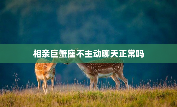 相親巨蟹座不主動聊天正常嗎