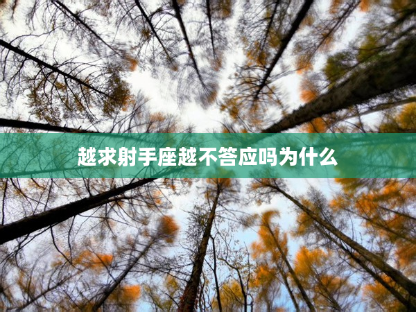 越求射手座越不答應嗎為什么