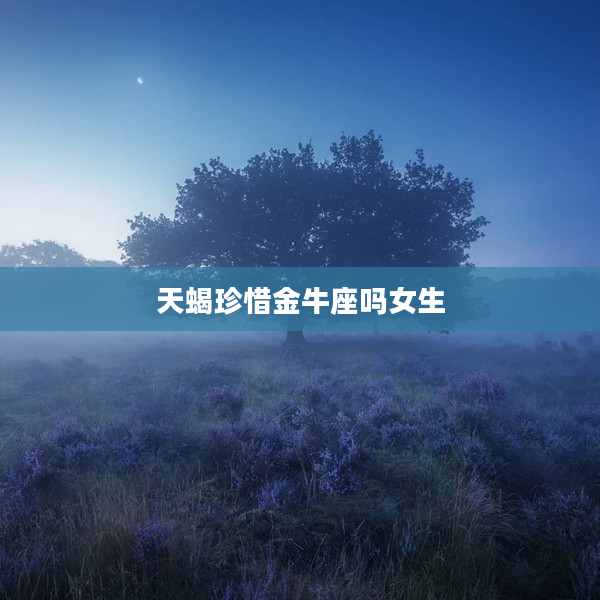 天蝎珍惜金牛座嗎女生