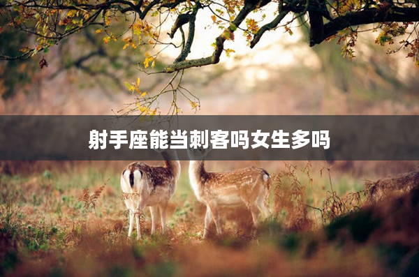 射手座能當刺客嗎女生多嗎