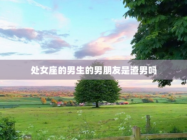 處女座的男生的男朋友是渣男嗎