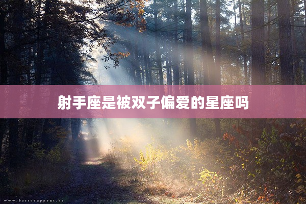 射手座是被雙子偏愛的星座嗎