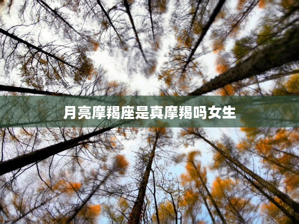 月亮摩羯座是真摩羯嗎女生