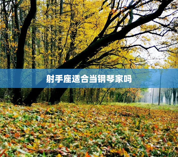 射手座適合當鋼琴家嗎