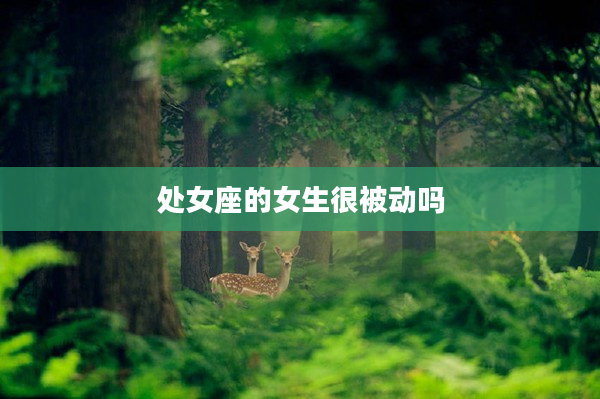 處女座的女生很被動嗎