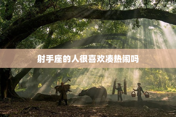 射手座的人很喜歡湊熱鬧嗎