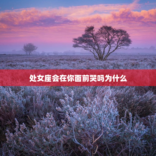 處女座會在你面前哭嗎為什么