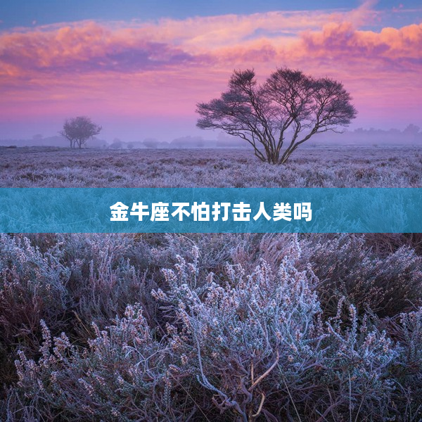 金牛座不怕打擊人類嗎