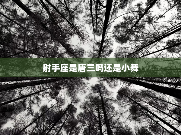 射手座是唐三嗎還是小舞