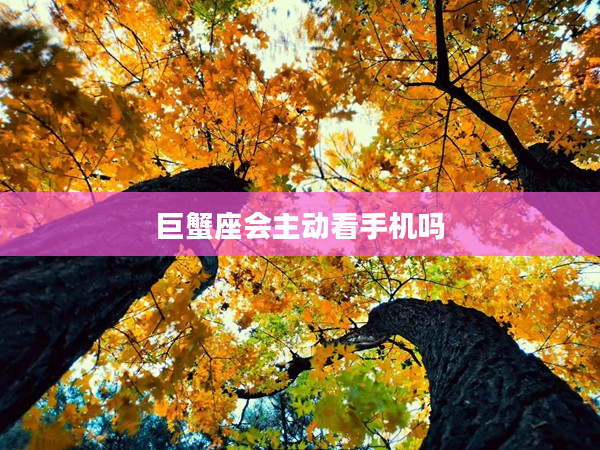 巨蟹座會(huì)主動(dòng)看手機(jī)嗎