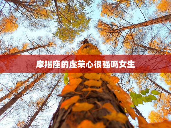 摩羯座的虛榮心很強嗎女生