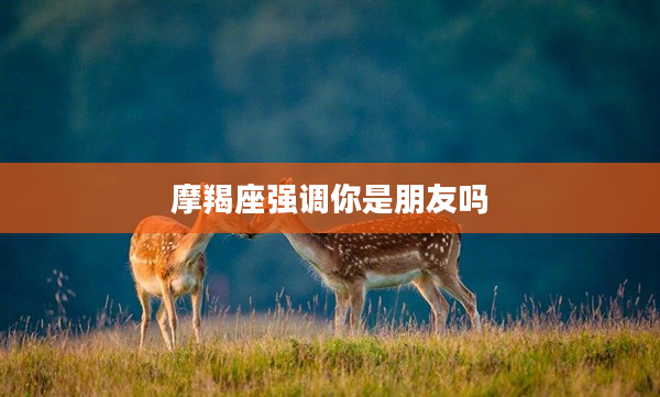 摩羯座強調(diào)你是朋友嗎