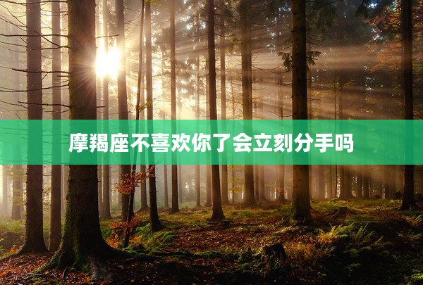 摩羯座不喜歡你了會(huì)立刻分手嗎