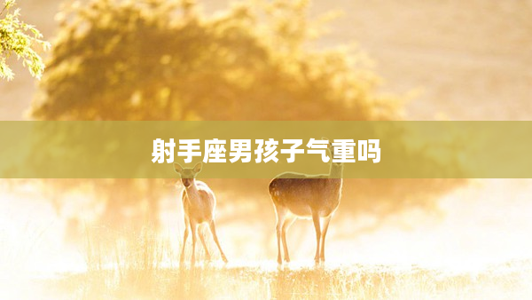 射手座男孩子氣重嗎