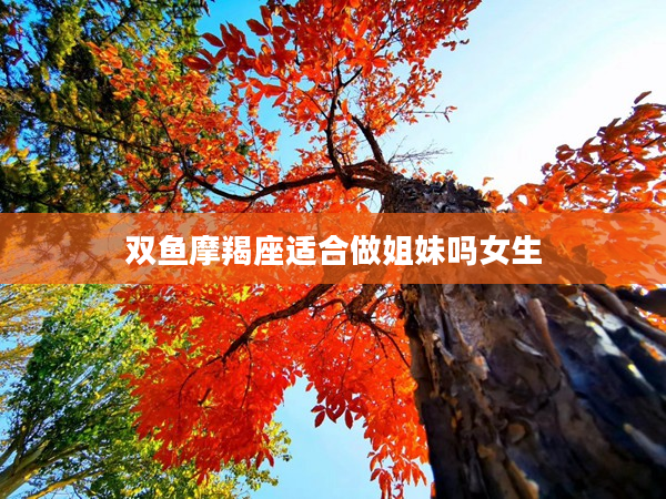 雙魚(yú)摩羯座適合做姐妹嗎女生