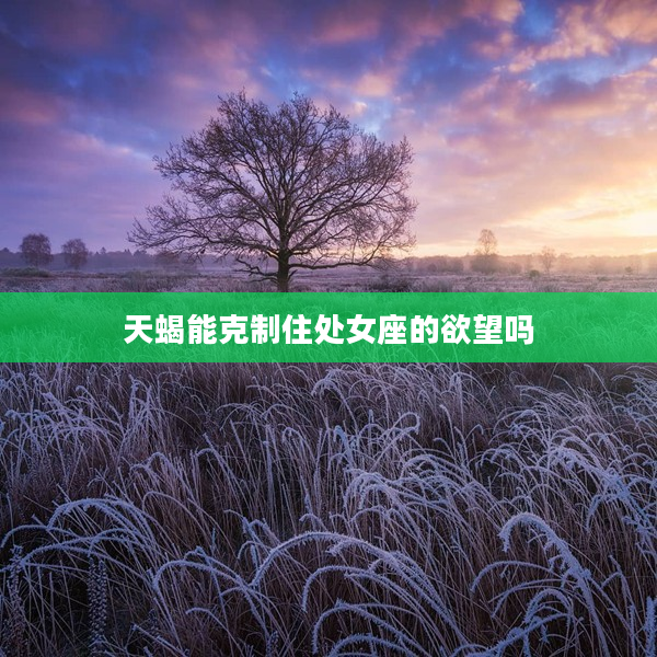 天蝎能克制住處女座的欲望嗎