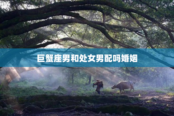 巨蟹座男和處女男配嗎婚姻