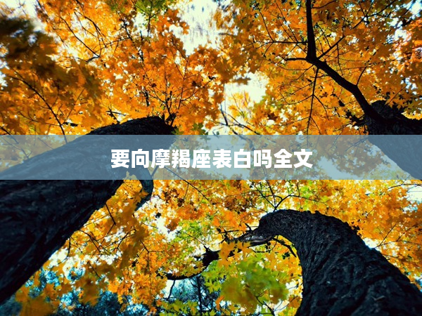 要向摩羯座表白嗎全文