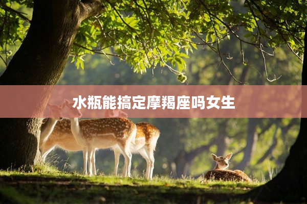 水瓶能搞定摩羯座嗎女生