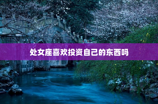 處女座喜歡投資自己的東西嗎