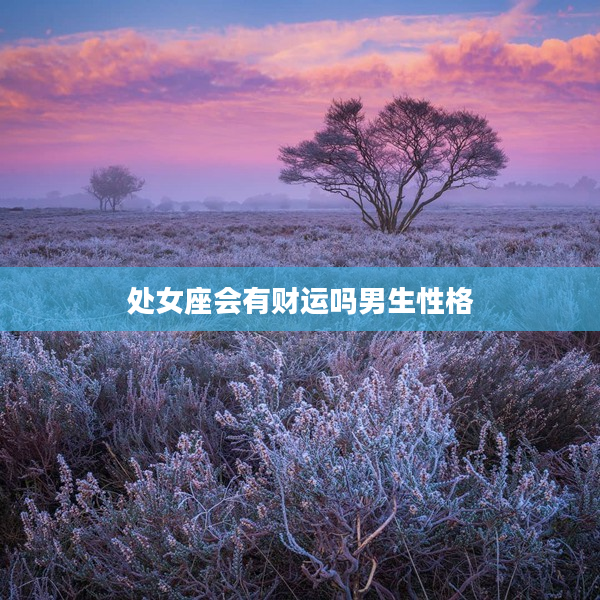 處女座會有財運嗎男生性格