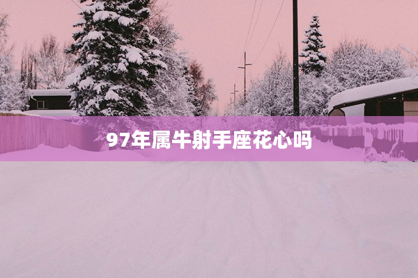 97年屬牛射手座花心嗎