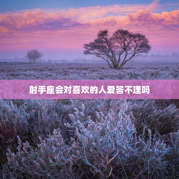 射手座會對喜歡的人愛答不理嗎