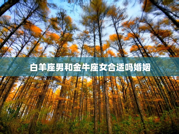白羊座男和金牛座女合適嗎婚姻