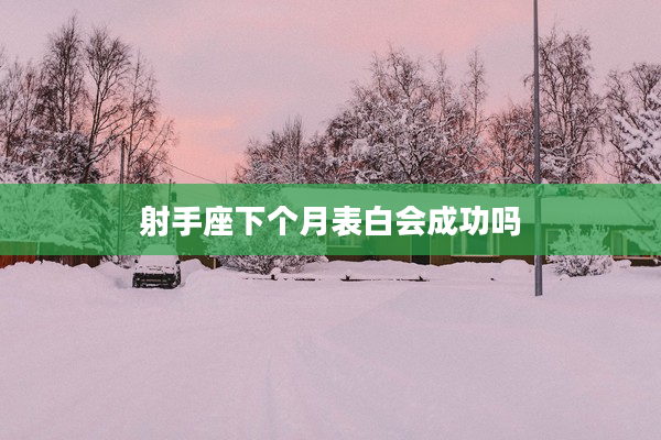 射手座下個月表白會成功嗎