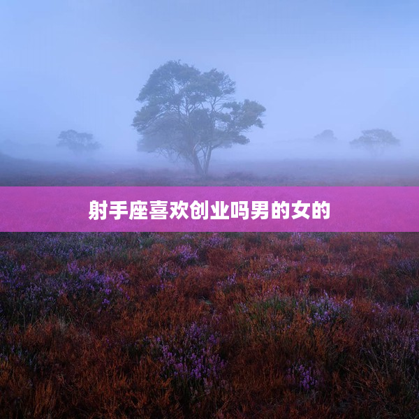 射手座喜歡創業嗎男的女的