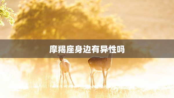 摩羯座身邊有異性嗎